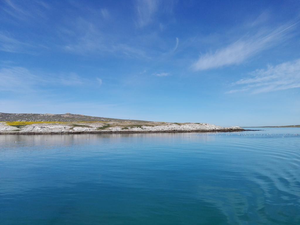 Due South Guest House Langebaan Dış mekan fotoğraf